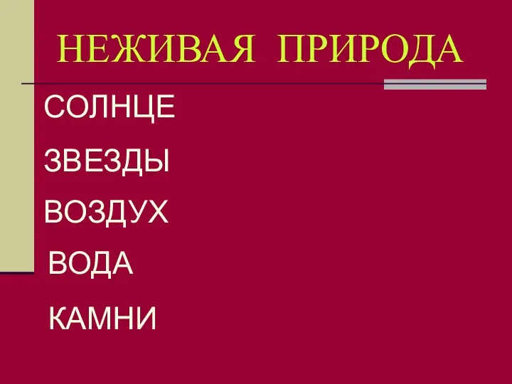 НЕЖИВАЯ ПРИРОДА СОЛНЦЕ ЗВЕЗДЫ ВОЗДУХ ВОДА КАМНИ