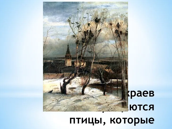 Из теплых краев возвращаются птицы, которые улетели туда осенью. Одними из первых возвращаются грачи.