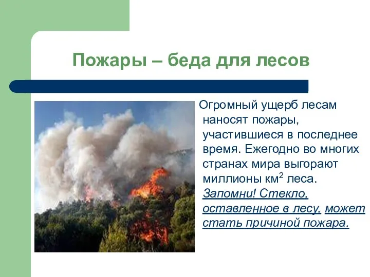 Пожары – беда для лесов Огромный ущерб лесам наносят пожары, участившиеся в последнее