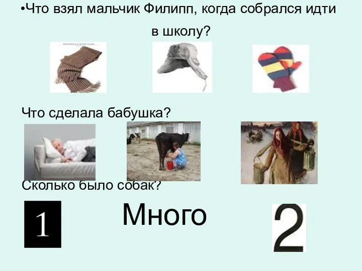 Что взял мальчик Филипп, когда собрался идти в школу? Что сделала бабушка? Сколько было собак? Много