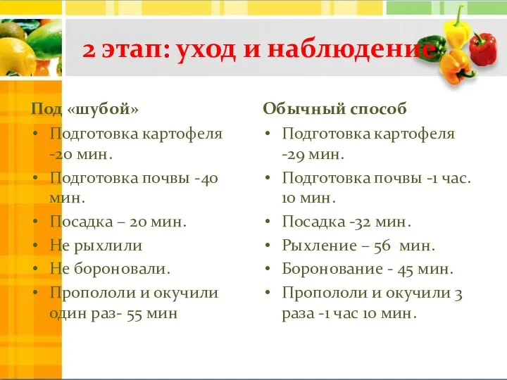 2 этап: уход и наблюдение Под «шубой» Подготовка картофеля -20