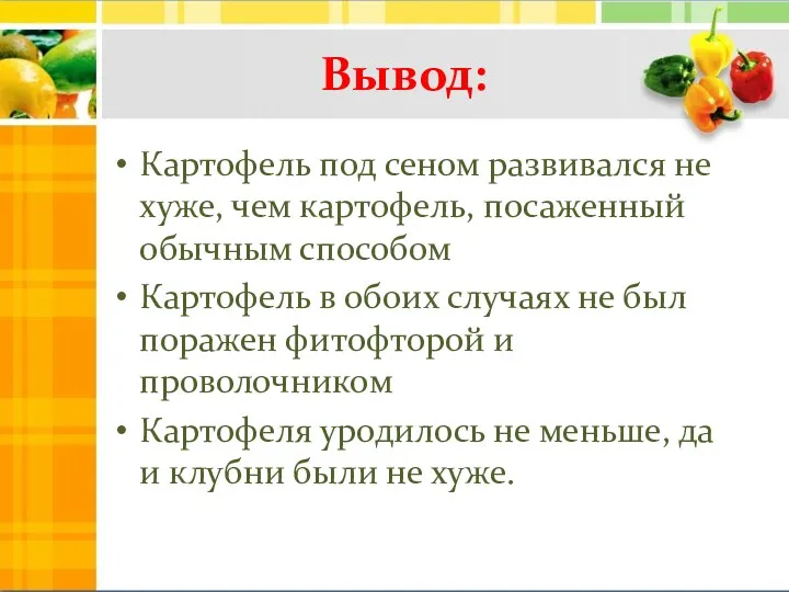 Вывод: Картофель под сеном развивался не хуже, чем картофель, посаженный