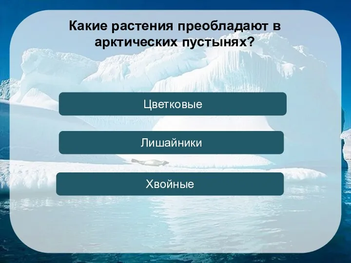 Лишайники Цветковые Хвойные Какие растения преобладают в арктических пустынях?