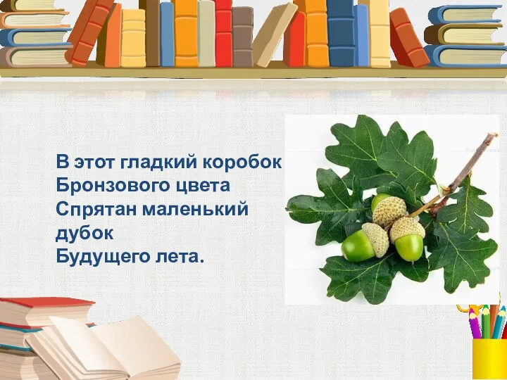В этот гладкий коробок Бронзового цвета Спрятан маленький дубок Будущего лета.