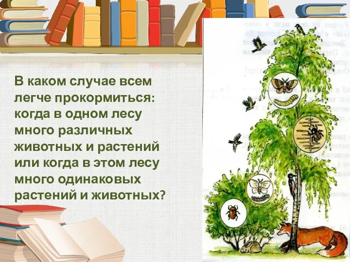 В каком случае всем легче прокормиться: когда в одном лесу много различных животных