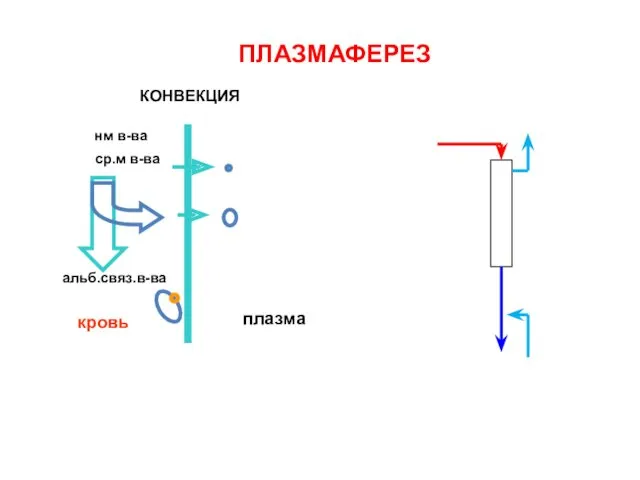 ПЛАЗМАФЕРЕЗ ср.м в-ва альб.связ.в-ва