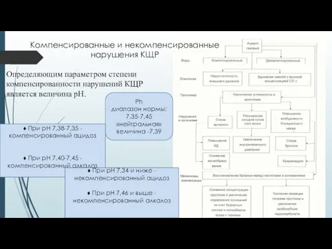 Компенсированные и некомпенсированные нарушения КЩР Ph диапазон нормы: 7,35-7,45 «нейтральная»