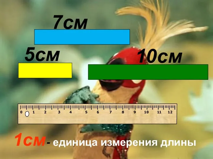 10см 5см 7см 1см - единица измерения длины