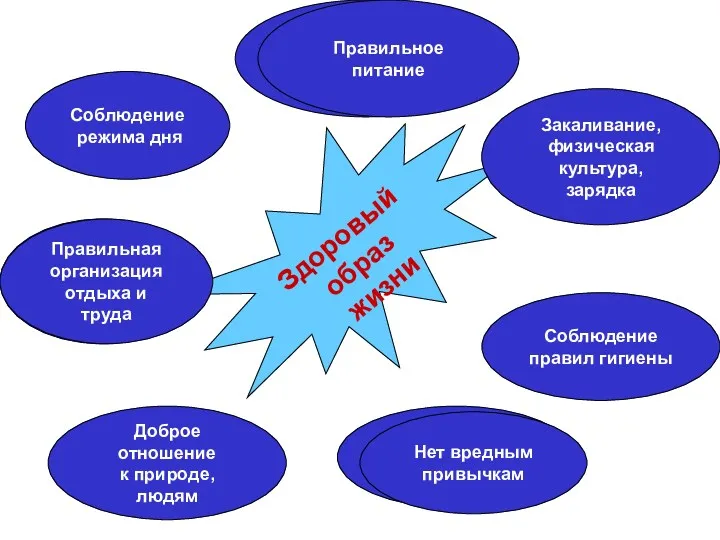 Здоровый образ жизни Употребление алкоголя, табака Закаливание, физическая культура, зарядка