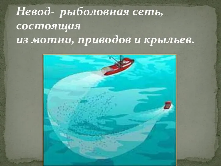 Невод- рыболовная сеть, состоящая из мотни, приводов и крыльев.