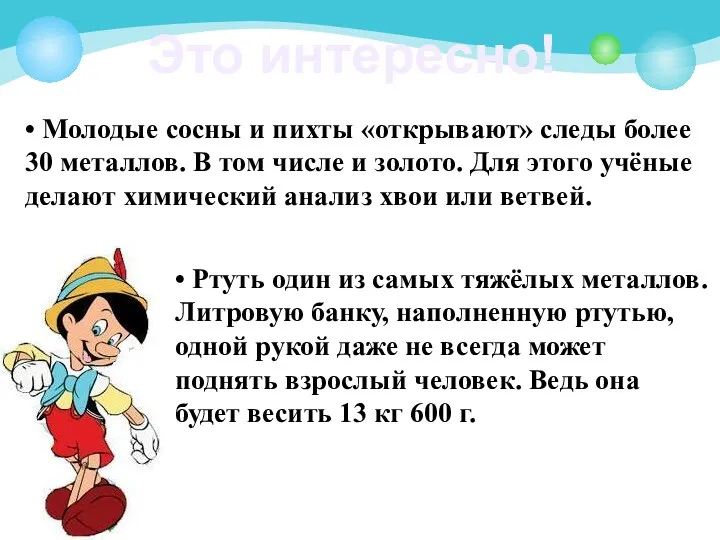 Это интересно! • Молодые сосны и пихты «открывают» следы более 30 металлов. В