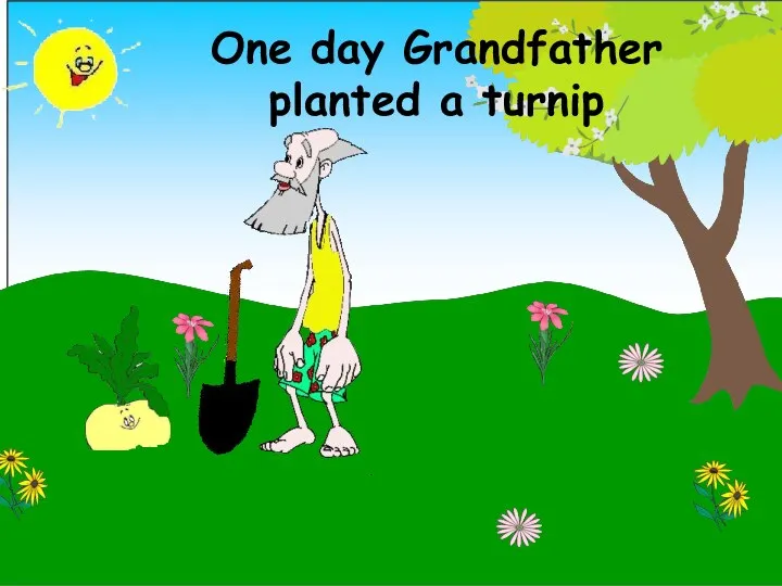 One day Grandfather planted a turnip