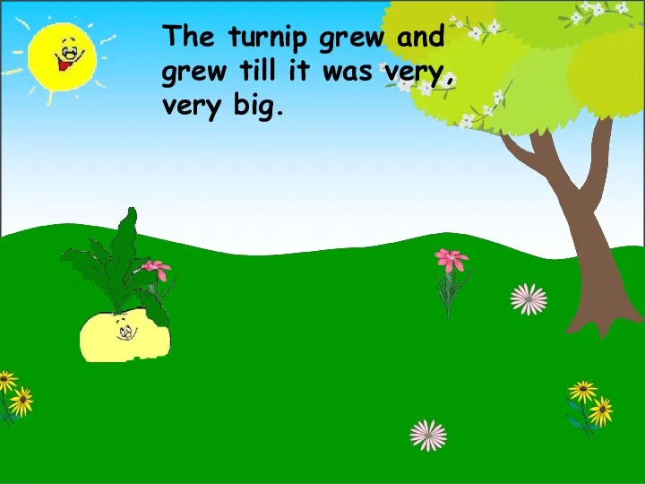 The turnip grew and grew till it was very, very big.