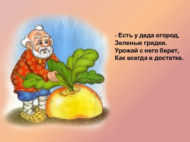 - Есть у деда огород, Зеленые грядки. Урожай с него берет, Как всегда в достатке.