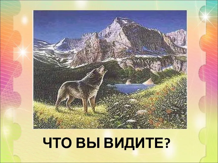 ЧТО ВЫ ВИДИТЕ?