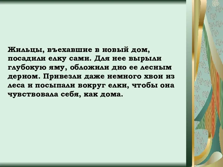 Жильцы, въехавшие в новый дом, посадили елку сами. Для нее