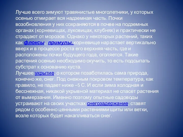 Лучше всего зимуют травянистые многолетники, у которых осенью отмирает вся