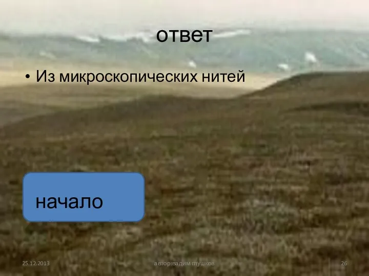 ответ Из микроскопических нитей автор:вадим глушков начало