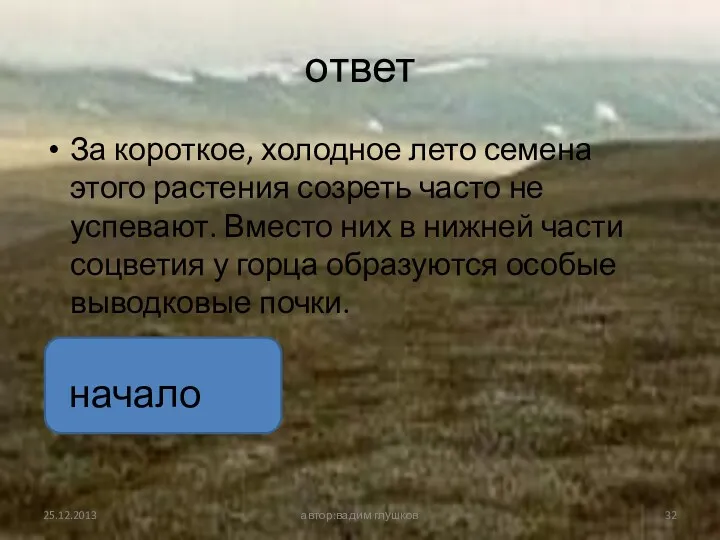 ответ За короткое, холодное лето семена этого растения созреть часто