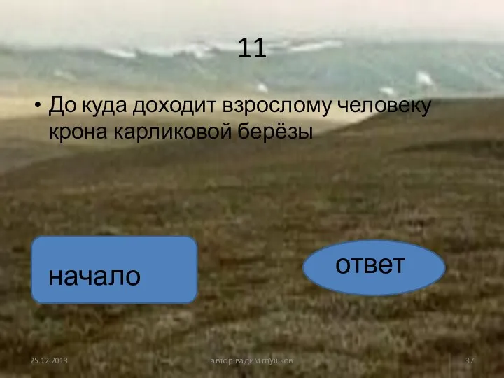 11 До куда доходит взрослому человеку крона карликовой берёзы автор:вадим глушков ответ начало