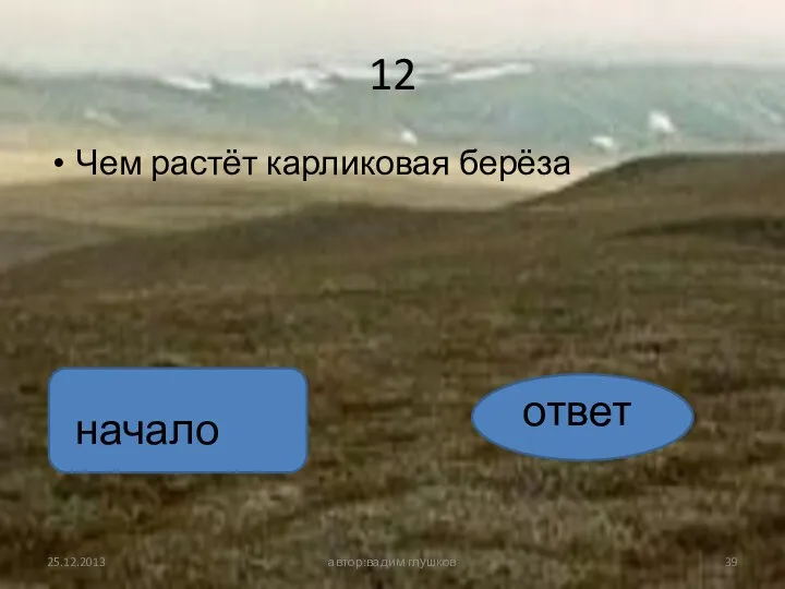 12 Чем растёт карликовая берёза автор:вадим глушков ответ начало