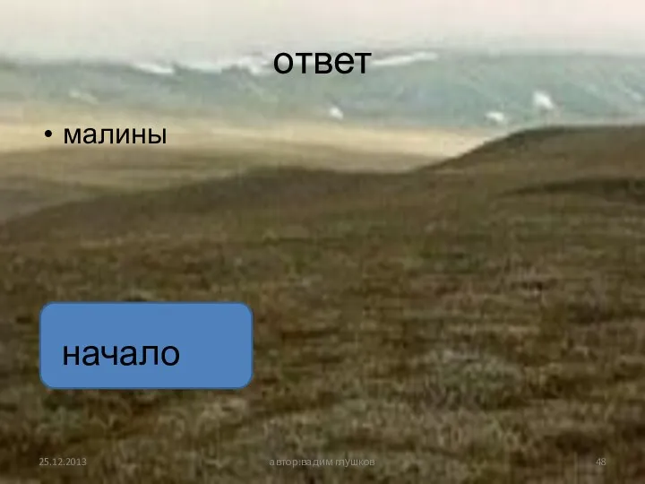 ответ малины автор:вадим глушков начало