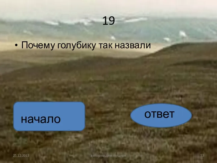 19 Почему голубику так назвали автор:вадим глушков ответ начало