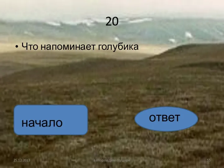 20 Что напоминает голубика автор:вадим глушков ответ начало