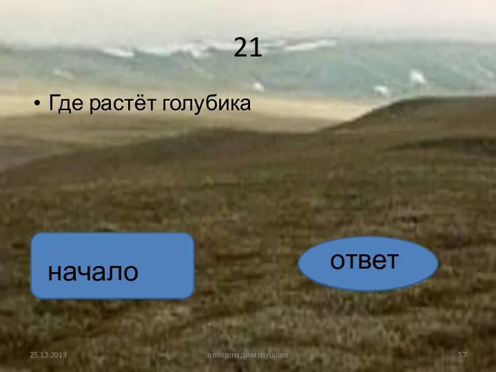 21 Где растёт голубика автор:вадим глушков ответ начало