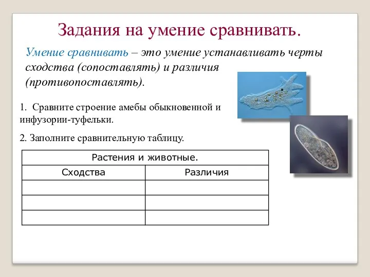 Умение сравнивать – это умение устанавливать черты сходства (сопоставлять) и