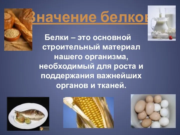 Значение белков Белки – это основной строительный материал нашего организма,