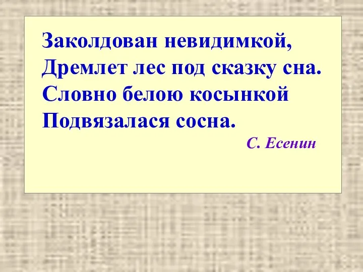 Заколдован невидимкой, Дремлет лес под сказку сна. Словно белою косынкой Подвязалася сосна. С. Есенин