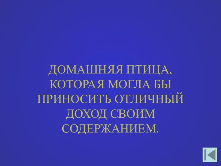 ДОМАШНЯЯ ПТИЦА, КОТОРАЯ МОГЛА БЫ ПРИНОСИТЬ ОТЛИЧНЫЙ ДОХОД СВОИМ СОДЕРЖАНИЕМ.