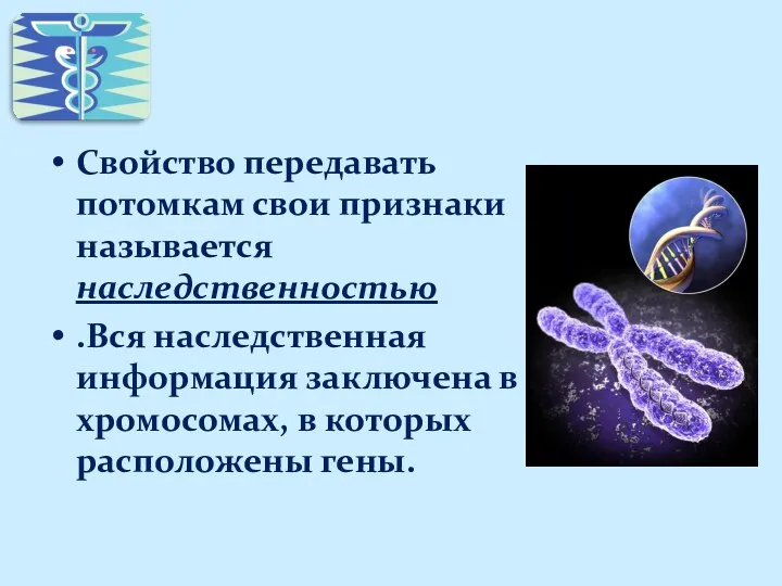 Свойство передавать потомкам свои признаки называется наследственностью .Вся наследственная информация