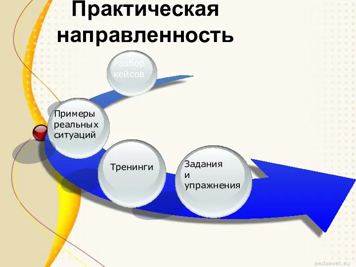 Практическая направленность Задания и упражнения Тренинги Примеры реальных ситуаций Разбор кейсов