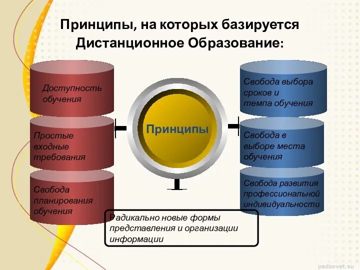 Свобода развития профессиональной индивидуальности Свобода в выборе места обучения Свобода