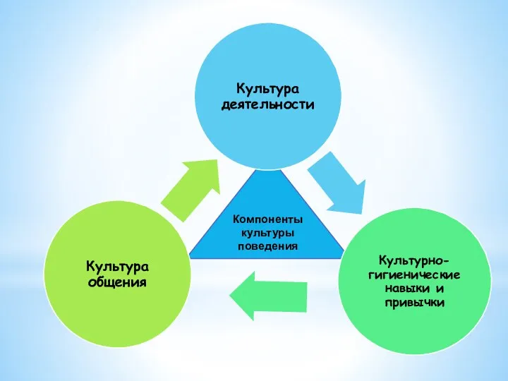 Компоненты культуры поведения