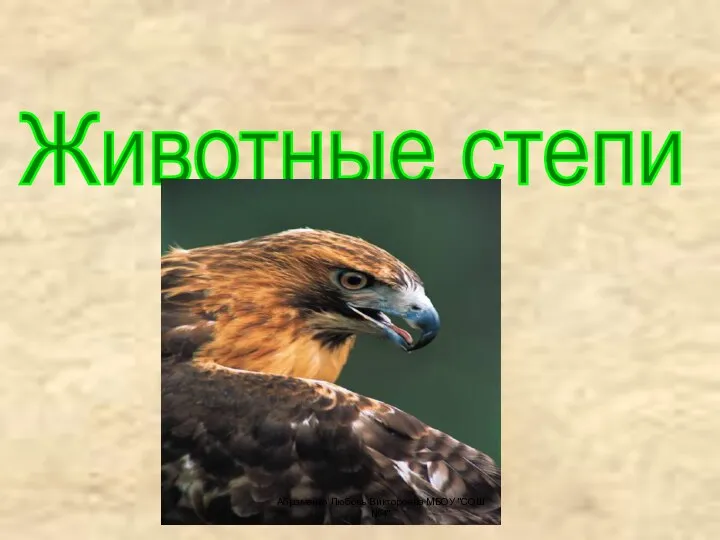 Животные степи Абраменко Любовь Викторовна МБОУ "СОШ №4"