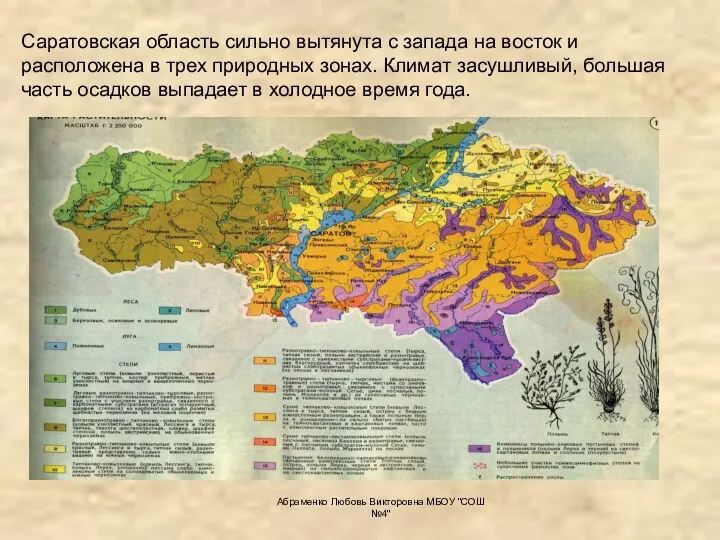 Саратовская область сильно вытянута с запада на восток и расположена