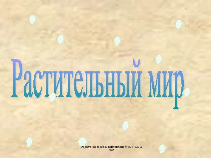 Растительный мир Абраменко Любовь Викторовна МБОУ "СОШ №4"