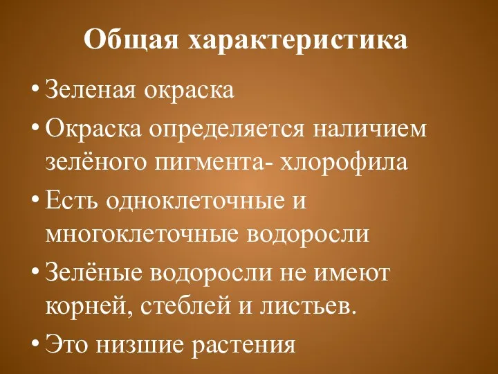 Общая характеристика Зеленая окраска Окраска определяется наличием зелёного пигмента- хлорофила