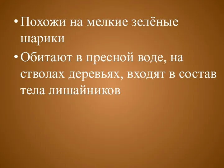 Похожи на мелкие зелёные шарики Обитают в пресной воде, на