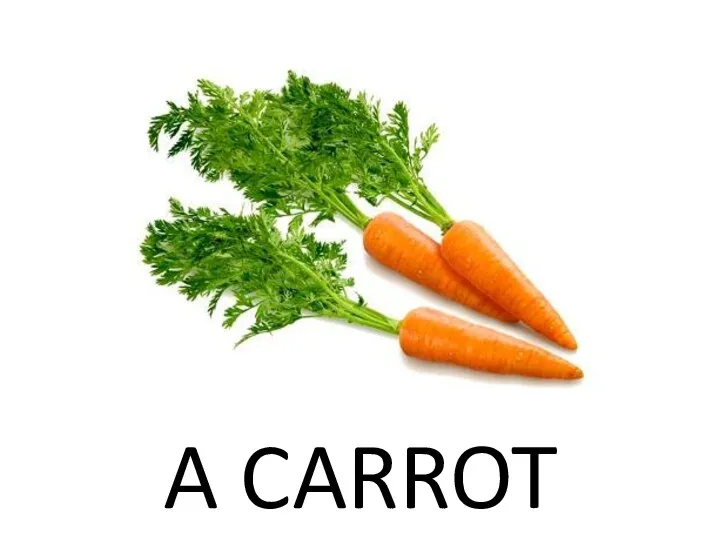 A CARROT