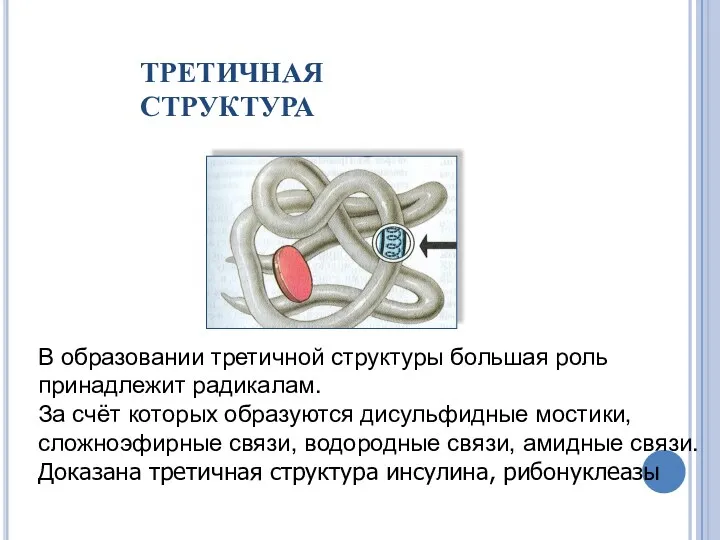 В образовании третичной структуры большая роль принадлежит радикалам. За счёт