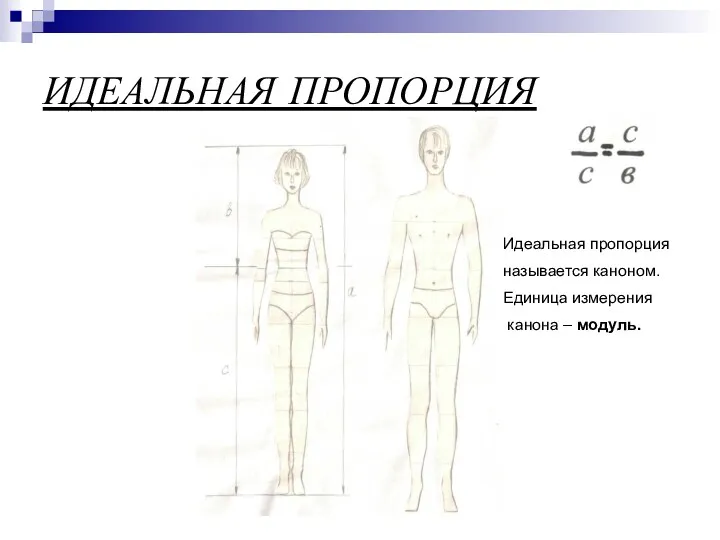 ИДЕАЛЬНАЯ ПРОПОРЦИЯ Идеальная пропорция называется каноном. Единица измерения канона – модуль.