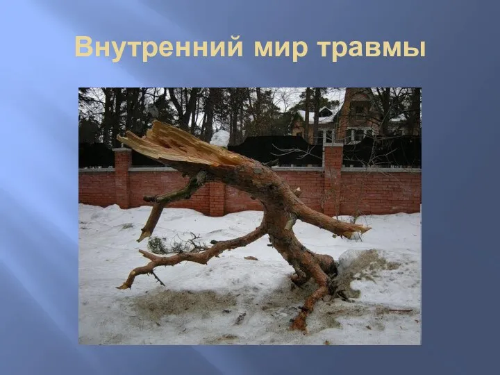 Внутренний мир травмы