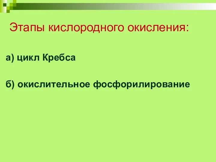 Этапы кислородного окисления: а) цикл Кребса б) окислительное фосфорилирование