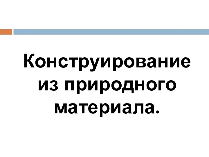 Конструирование из природного материала.