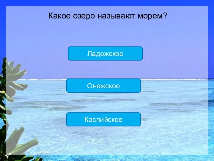 Каспийское Онежское Ладожское Какое озеро называют морем?