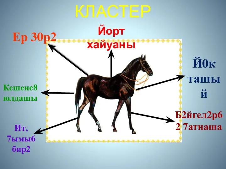 КЛАСТЕР Ер 30р2 Йорт хайуаны Й0к ташый Кешене8 юлдашы Б2йгел2р62 7атнаша Ит, 7ымы6 бир2